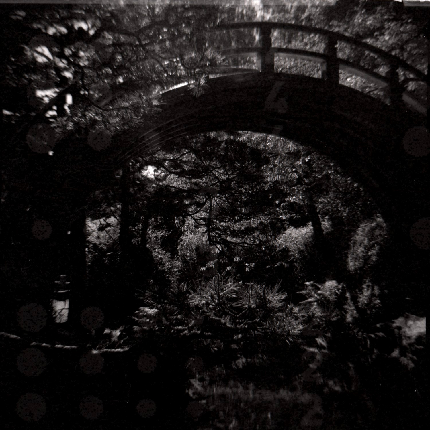 Japanese Tea Garden
