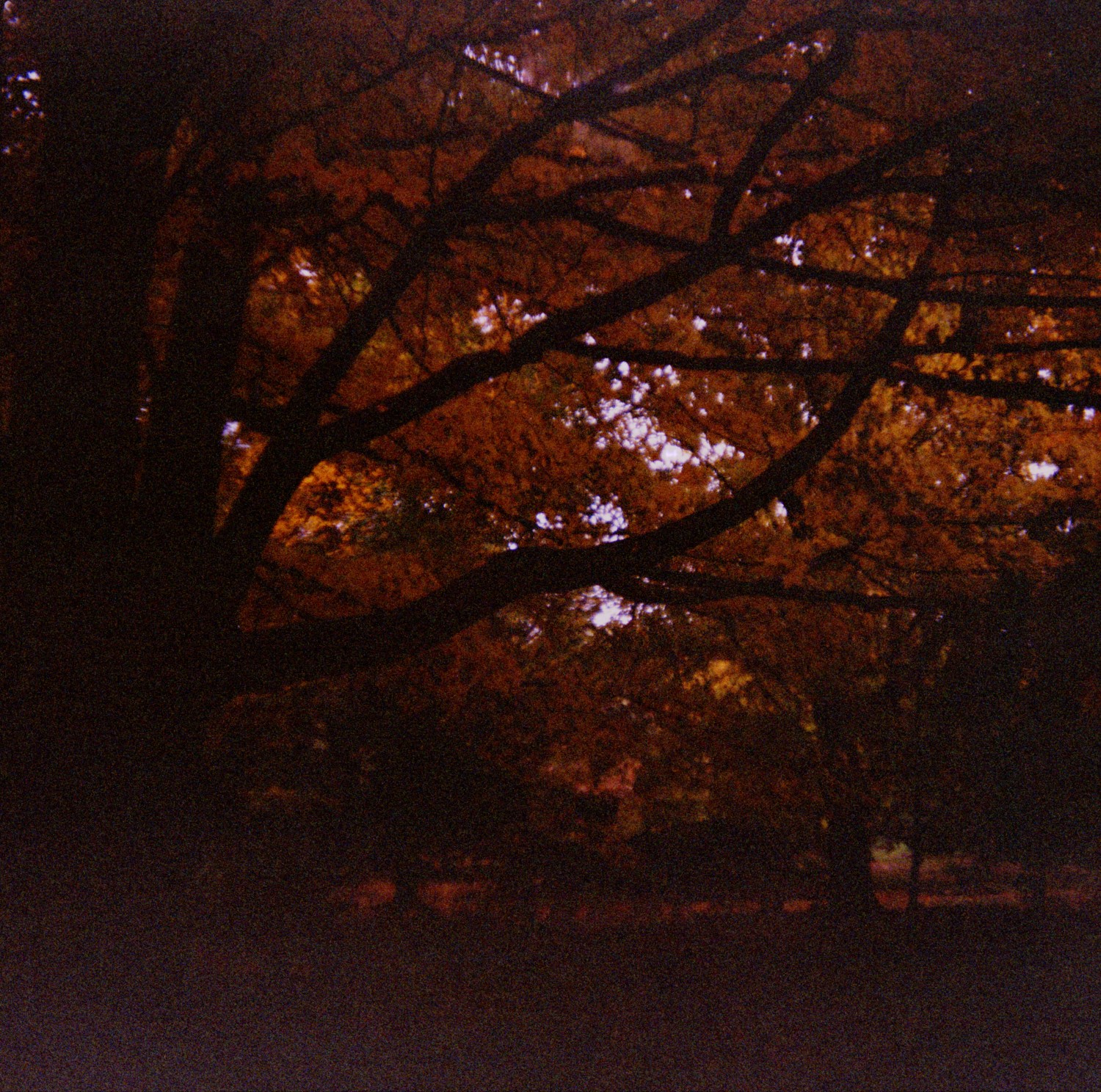 Madison Arboretum